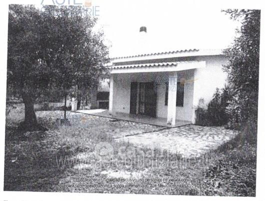 Terreno agricolo in commerciale in 