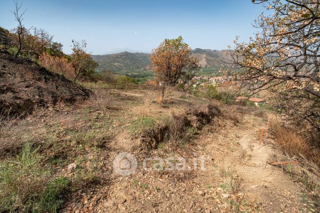 Terreno agricolo in commerciale in Via Roma