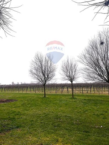 Terreno agricolo in commerciale in Viale Risorgimento 7