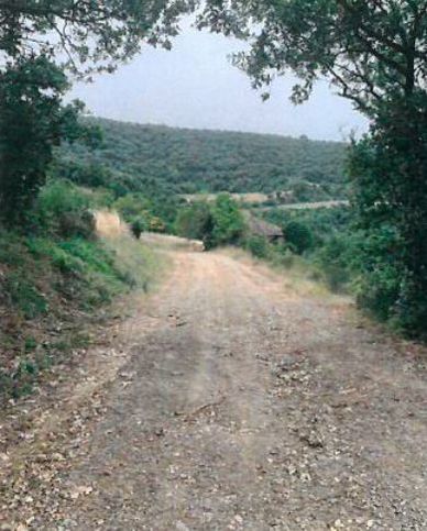 Terreno agricolo in commerciale in Via Po' della Fratta