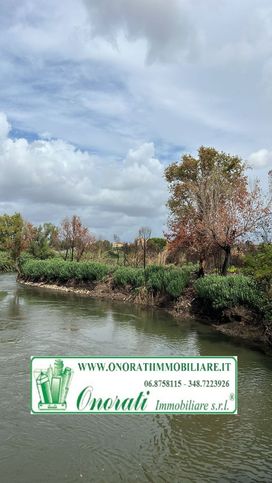 Terreno agricolo in commerciale in Via di Ponte Mammolo