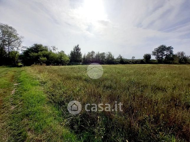 Terreno agricolo in commerciale in Via Carrera