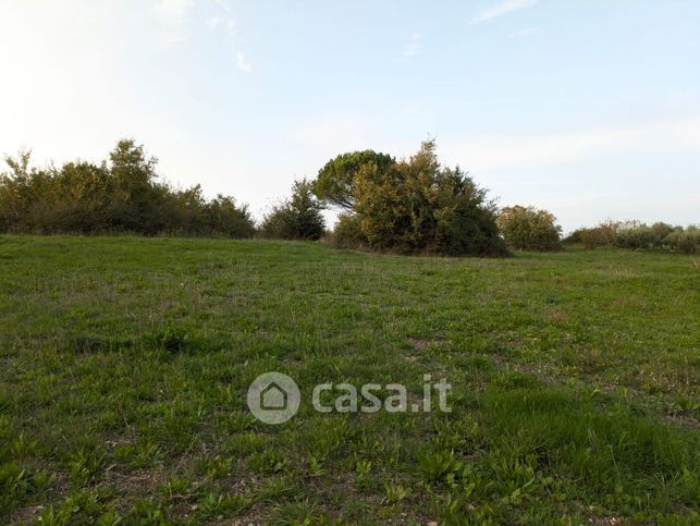 Terreno agricolo in commerciale in Via Santa Maria