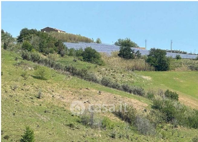 Terreno agricolo in commerciale in Strada Provinciale 3 Ancaranese