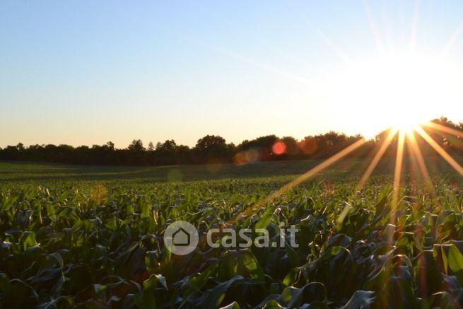 Terreno agricolo in commerciale in Strada Torchio