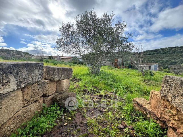 Terreno agricolo in commerciale in Strada Senza Nome