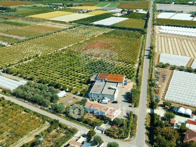 Capannone in commerciale in Viale San Giusto 15