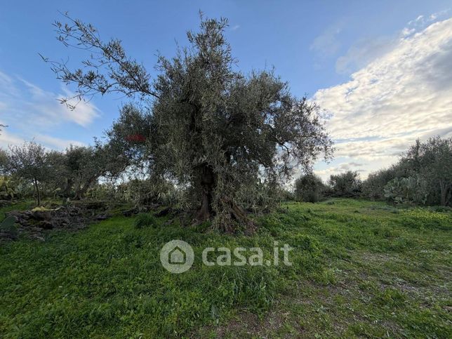 Terreno agricolo in commerciale in Via Roma