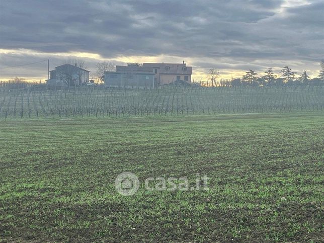 Terreno agricolo in commerciale in Via CÃ  Farneto