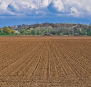 Terreno agricolo in commerciale in Via Brenta