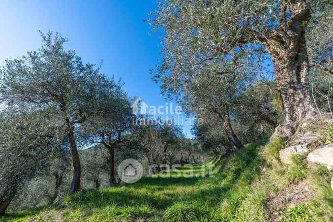 Terreno agricolo in commerciale in Via di Valle Asciano