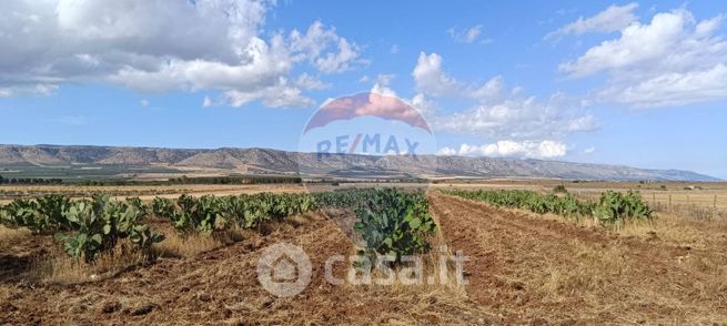 Terreno agricolo in commerciale in Strada Provinciale 58