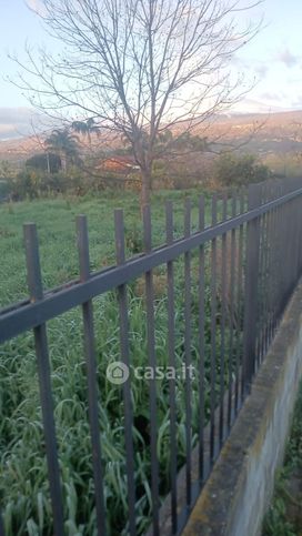 Terreno agricolo in commerciale in Traversa IV