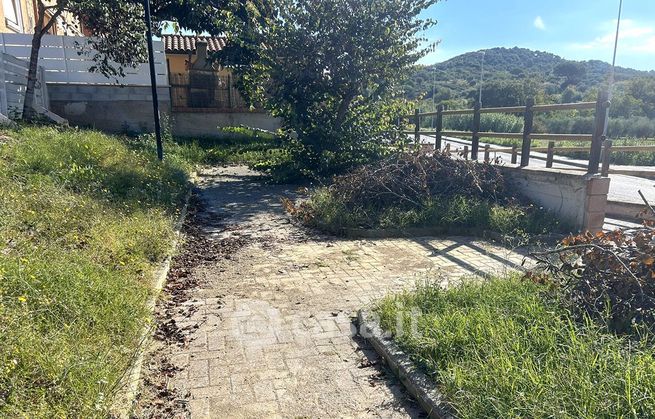 Terreno agricolo in commerciale in Via Rosanna Benzi