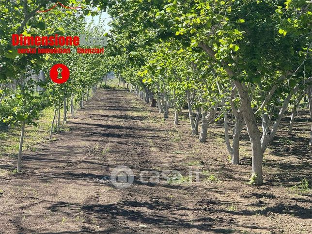 Terreno agricolo in commerciale in Via Boscofangone