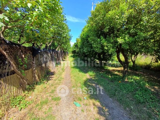 Terreno agricolo in commerciale in MANNARA