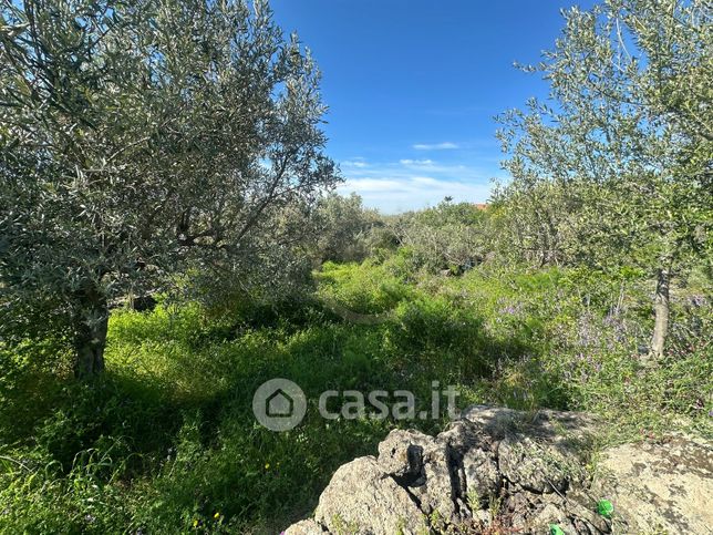 Terreno agricolo in commerciale in Via San Antonio Romito 71