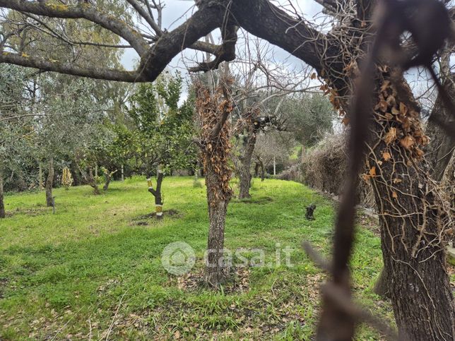 Terreno agricolo in commerciale in Via Villamar