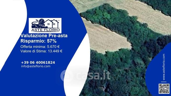 Terreno agricolo in commerciale in Strada Provinciale 37