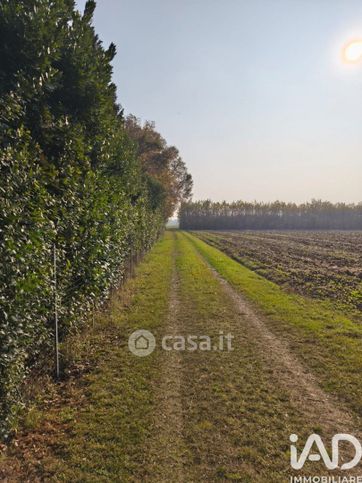 Terreno agricolo in commerciale in Via San Vito