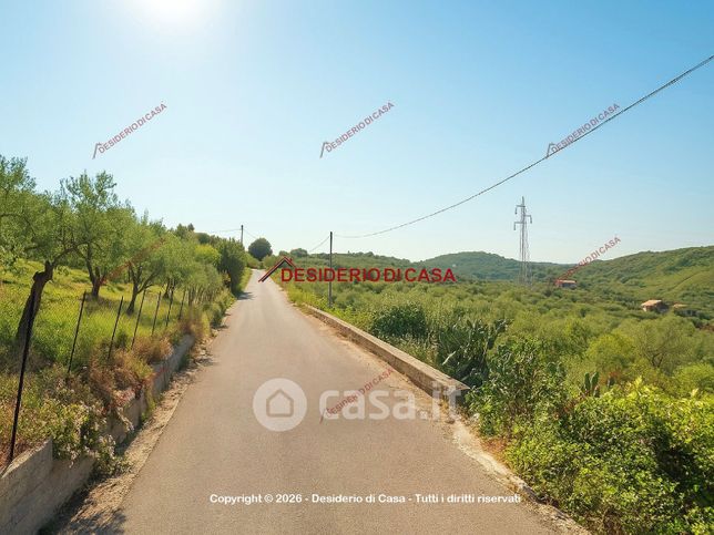 Terreno agricolo in commerciale in Strada Provinciale dell'Eleuterio
