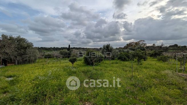 Terreno agricolo in commerciale in Strada Serra