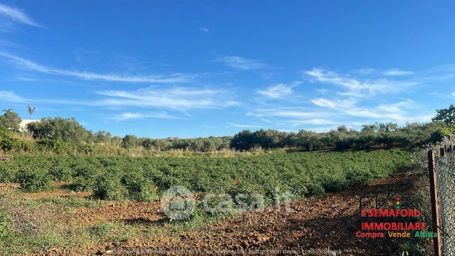 Terreno agricolo in commerciale in 