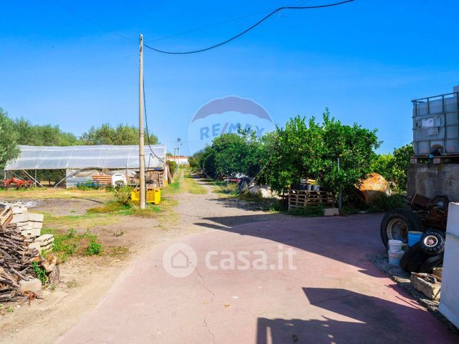 Terreno agricolo in commerciale in Viale San Giusto 15