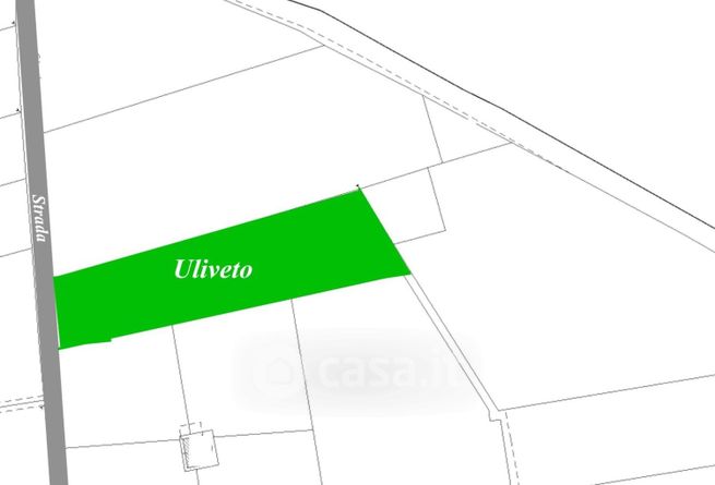 Terreno agricolo in commerciale in 