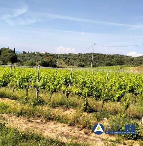 Terreno agricolo in commerciale in Località Vignale