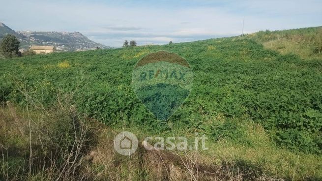 Terreno agricolo in commerciale in Strada Consortile Bruchito Tratto di Zagaria