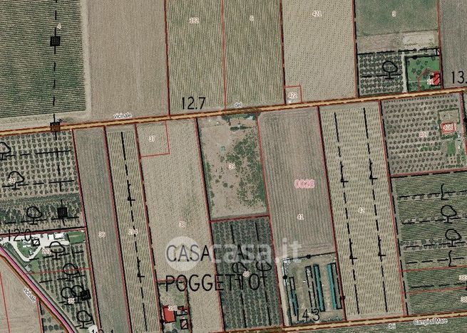 Terreno agricolo in commerciale in Comunale della Badia