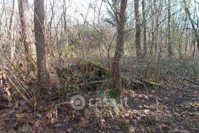 Terreno agricolo in commerciale in Via Gabbio