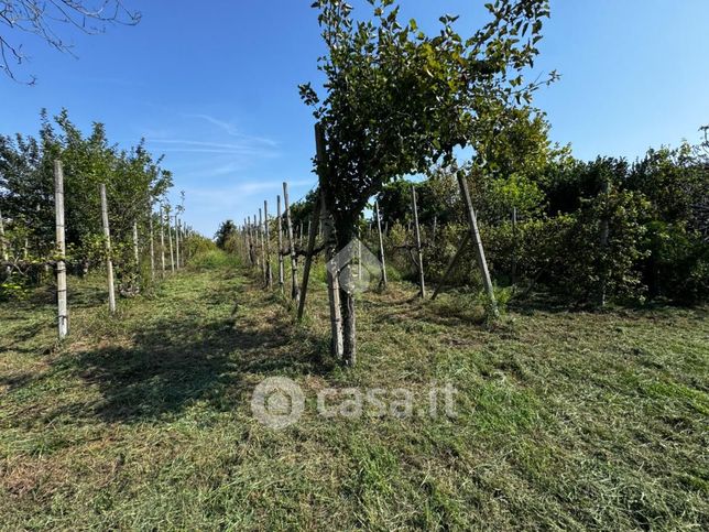 Terreno agricolo in commerciale in 