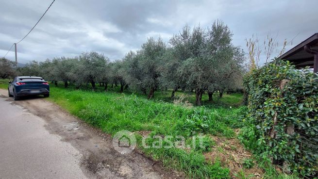 Terreno agricolo in commerciale in II Traversa Acqua dei Pioppi