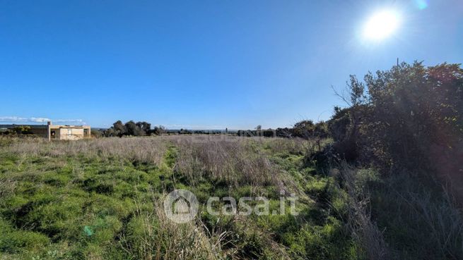Terreno agricolo in commerciale in Traversa Bosco