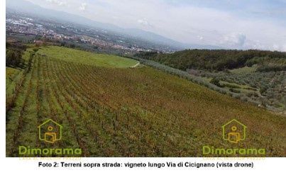 Terreno agricolo in commerciale in Via Cicignano