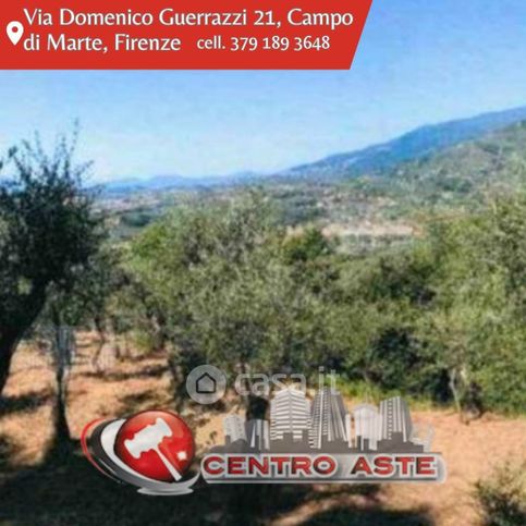 Terreno agricolo in commerciale in Via Colli per Uzzano