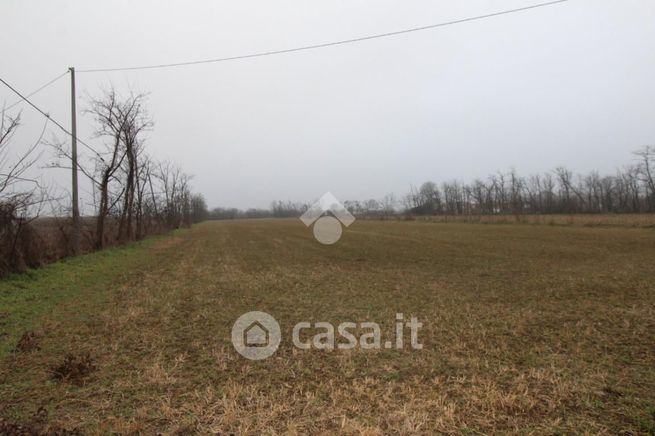 Terreno agricolo in commerciale in Via Montirone