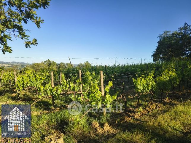 Terreno agricolo in commerciale in 