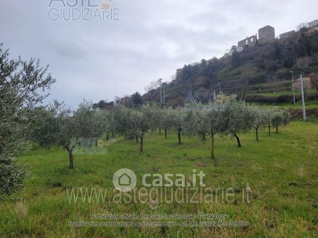 Terreno agricolo in commerciale in Via Santo Stefano