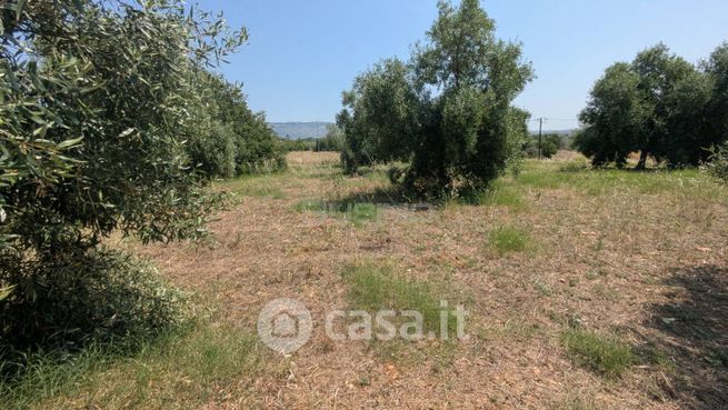 Terreno agricolo in commerciale in Via Cugno Canne
