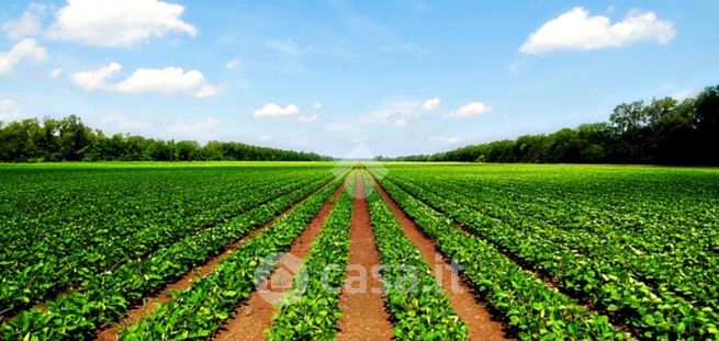 Terreno agricolo in commerciale in 