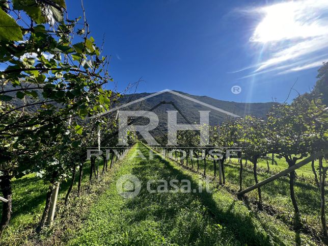 Terreno agricolo in commerciale in Località Noreda