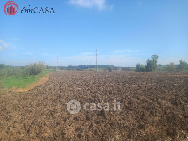 Terreno agricolo in commerciale in Via Casale Caraffa