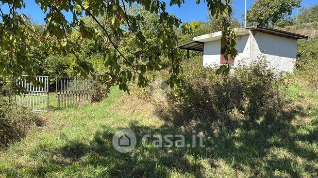 Terreno agricolo in commerciale in Via Case Gioacchino