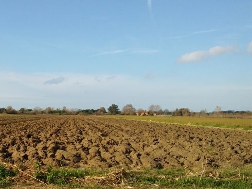 Terreno agricolo in commerciale in 