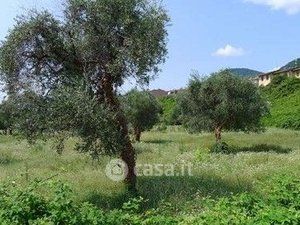 Terreno agricolo in commerciale in Via Andrea del Sarto