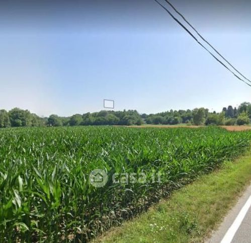 Terreno agricolo in commerciale in Via Pazzea