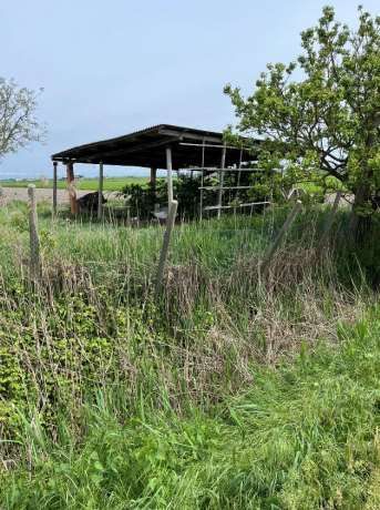 Terreno agricolo in commerciale in Via Stradone II